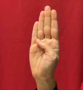 signal for help - segnale di aiuto per le donne vittime di violenza
