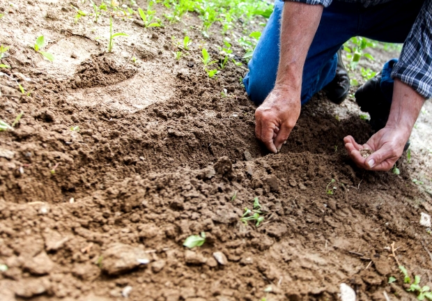 come coltivare le amicizie