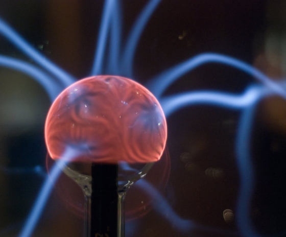 cosa dice la scienza sui rapporti di umani